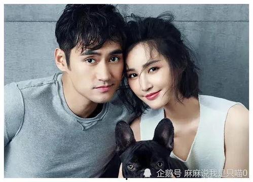 娱乐圈吃瓜明星爆料小说