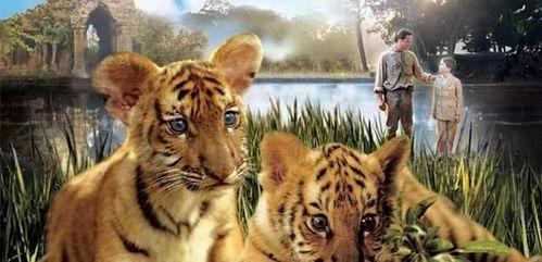 电影两只老虎,温情与幽默交织的童年回忆