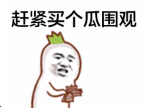 吃瓜表情应该怎么回复